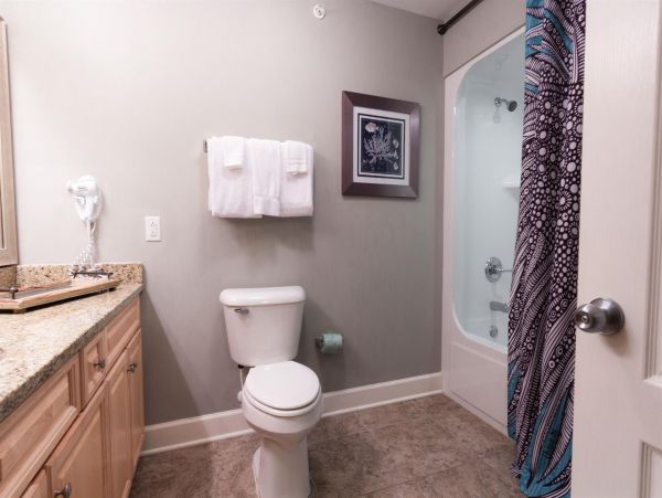 Alabama Beach Areas Home 992569