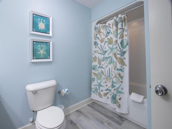 Alabama Beach Areas Home 992573