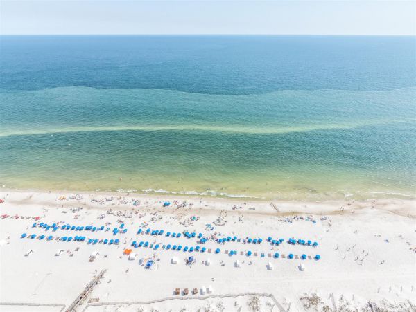 Alabama Beach Areas Home 992574