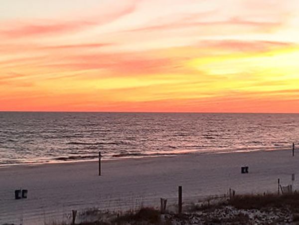 Alabama Beach Areas Condo 992583