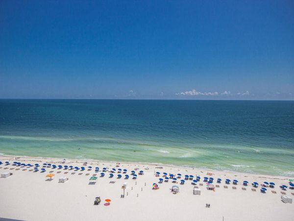 Alabama Beach Areas Condo 992588