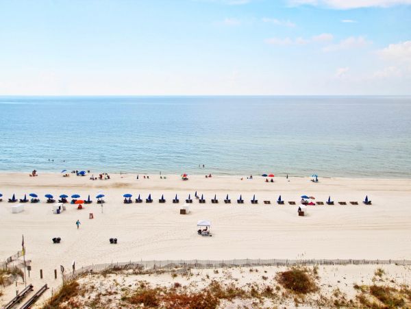 Alabama Beach Areas Condo 992588