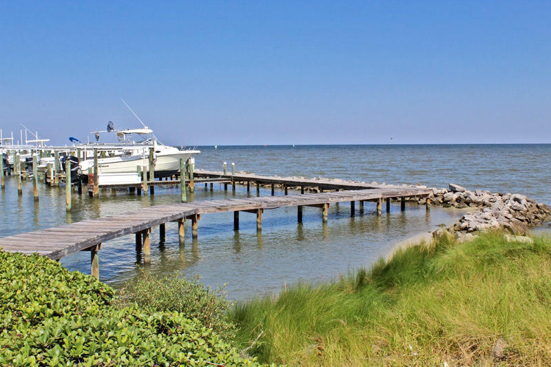 Alabama Beach Areas Condo 992592