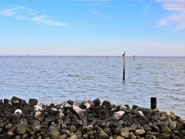 Alabama Beach Areas Condo 992592
