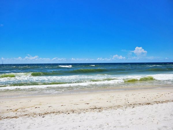 Alabama Beach Areas Condo 992593