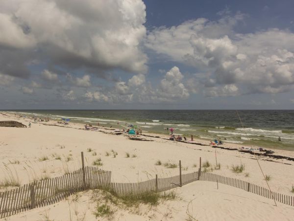 Alabama Beach Areas Home 992594