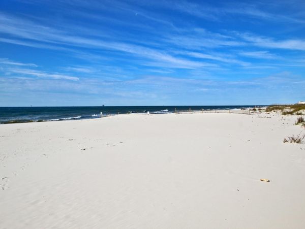 Alabama Beach Areas Condo 992596