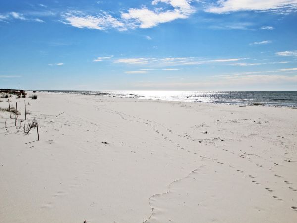 Alabama Beach Areas Condo 992596