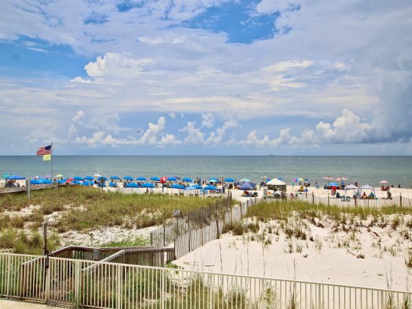 Alabama Beach Areas Condo 992598
