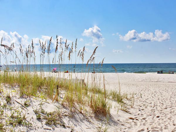 Alabama Beach Areas Condo 992601