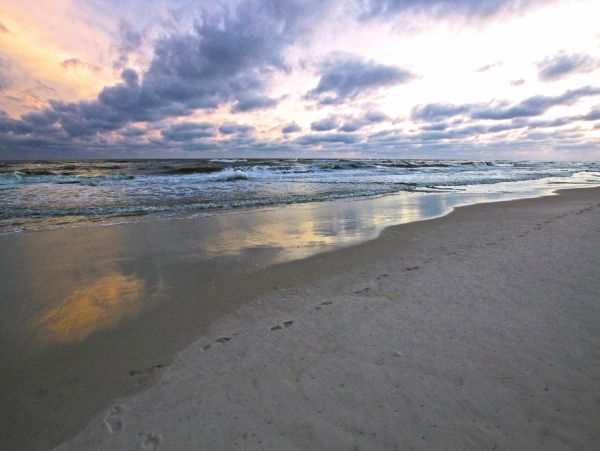 Alabama Beach Areas Condo 992601