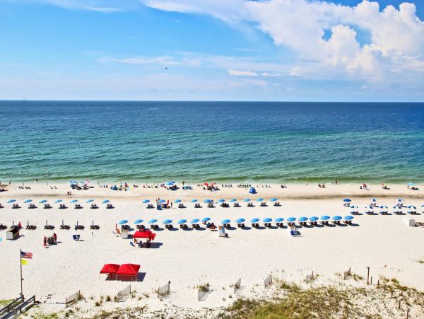 Alabama Beach Areas Condo 992605