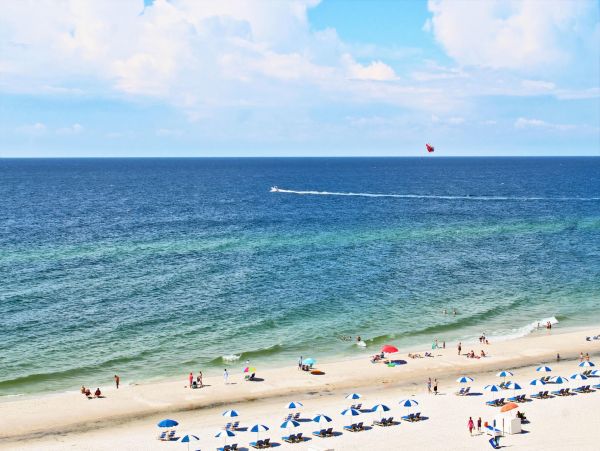 Alabama Beach Areas Condo 992605
