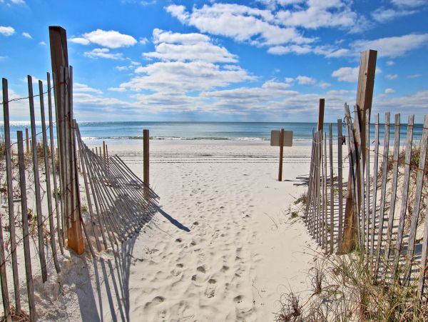 Alabama Beach Areas Condo 992611