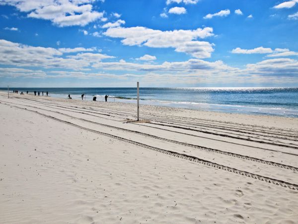Alabama Beach Areas Condo 992611