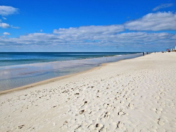 Alabama Beach Areas Condo 992611