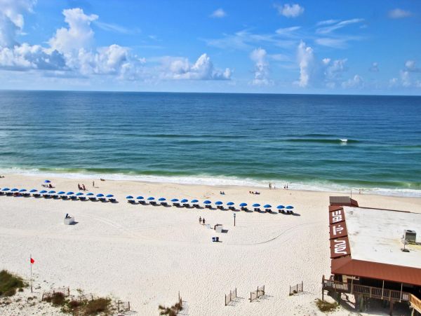 Alabama Beach Areas Condo 992612