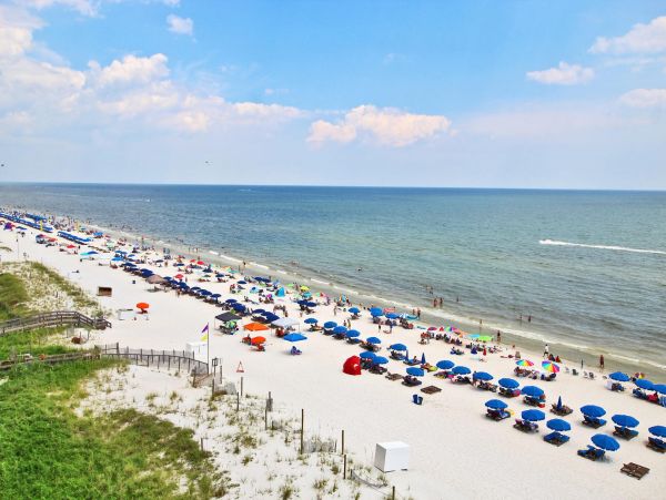 Alabama Beach Areas Condo 992615