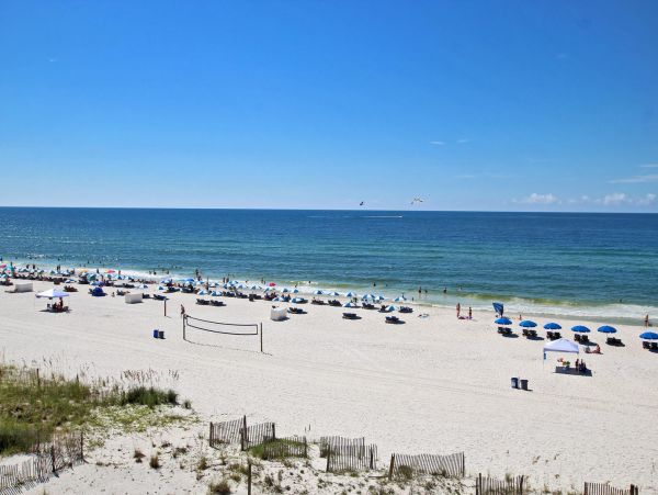 Alabama Beach Areas Condo 992616