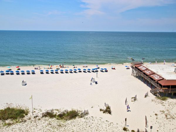 Alabama Beach Areas Condo 992617