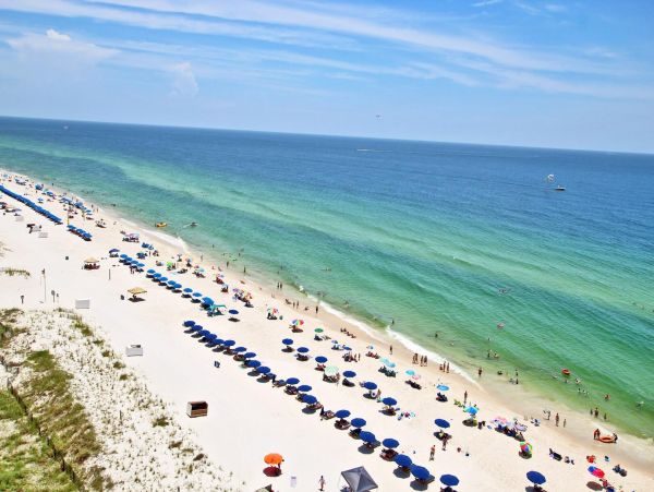 Alabama Beach Areas Condo 992620