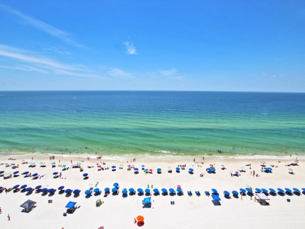 Alabama Beach Areas Condo 992620