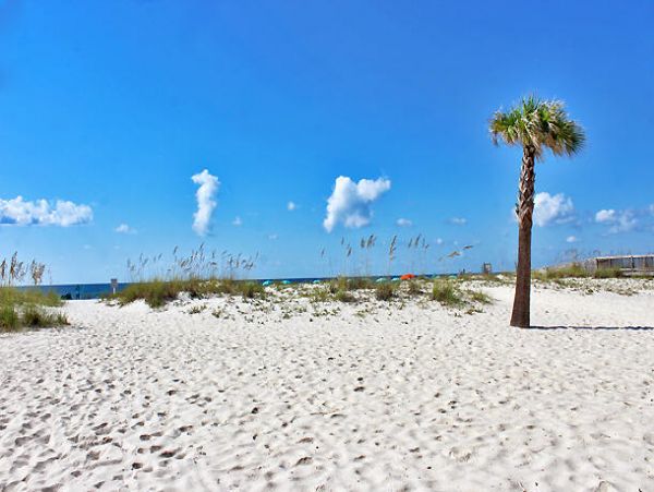 Alabama Beach Areas Condo 992623