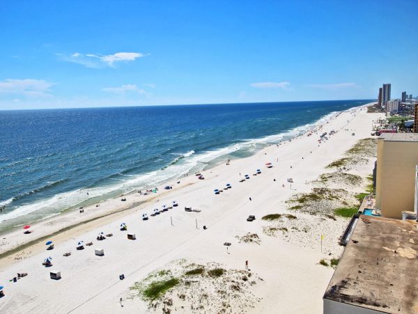 Alabama Beach Areas Condo 992627
