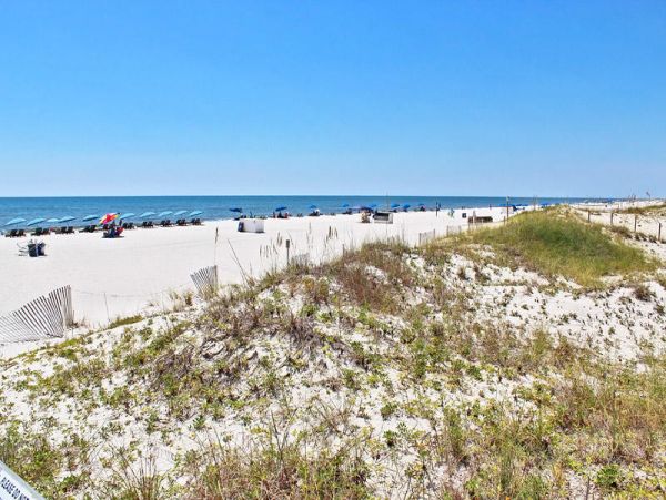 Alabama Beach Areas Condo 992627