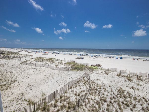 Alabama Beach Areas Condo 992628