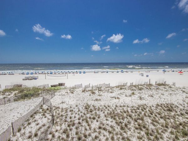 Alabama Beach Areas Condo 992628