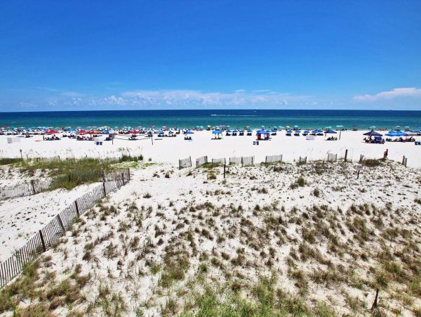 Alabama Beach Areas Condo 992628