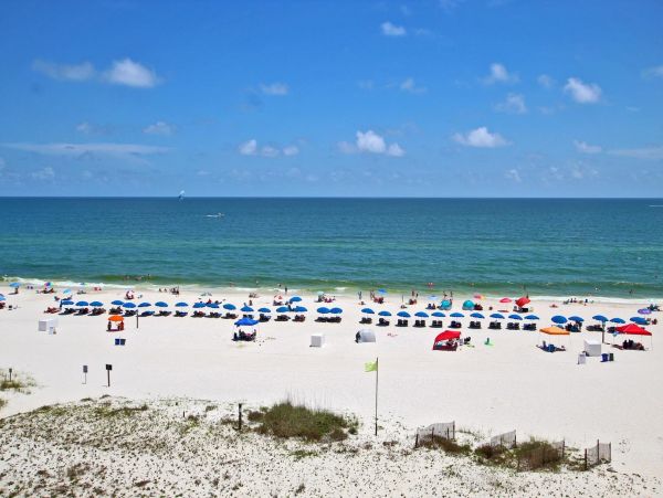 Alabama Beach Areas Condo 992629