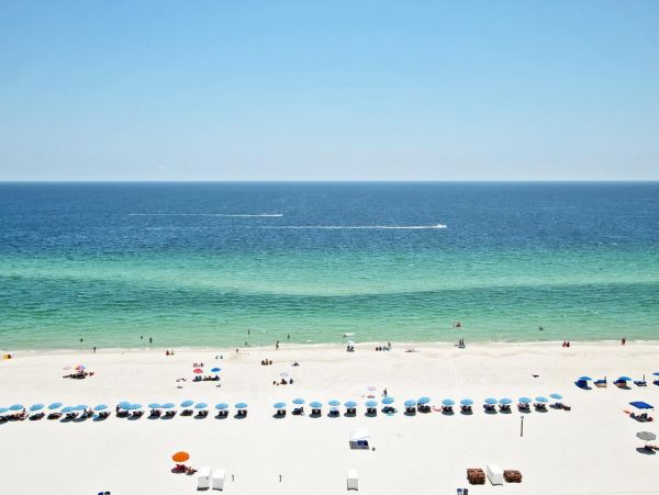 Alabama Beach Areas Condo 992633