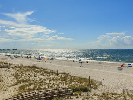 Alabama Beach Areas Condo 992636