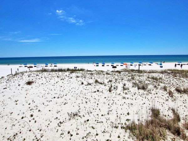 Alabama Beach Areas Condo 992636