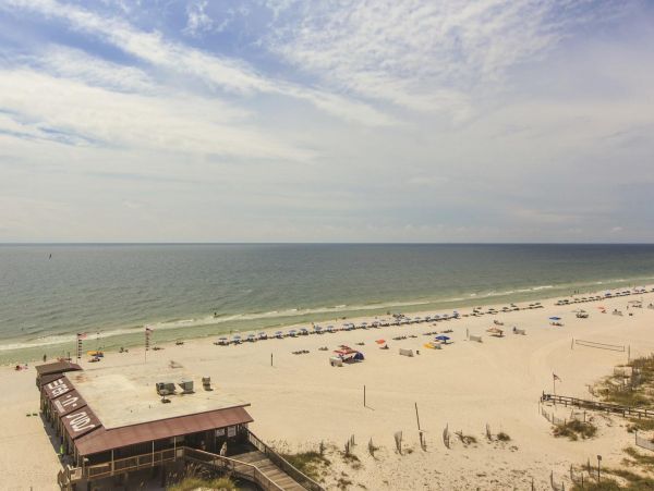 Alabama Beach Areas Condo 992637