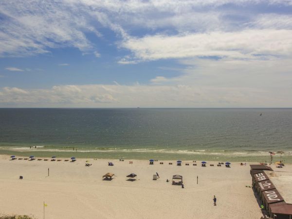 Alabama Beach Areas Condo 992637