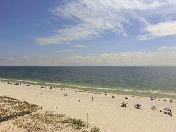 Alabama Beach Areas Condo 992637
