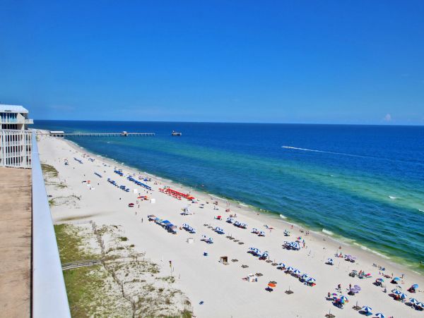 Alabama Beach Areas Condo 992639