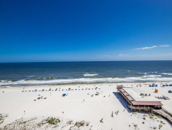 Alabama Beach Areas Condo 992643