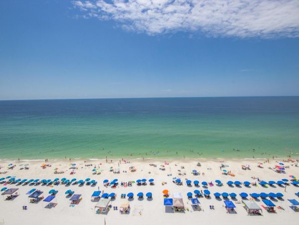 Alabama Beach Areas Condo 992645