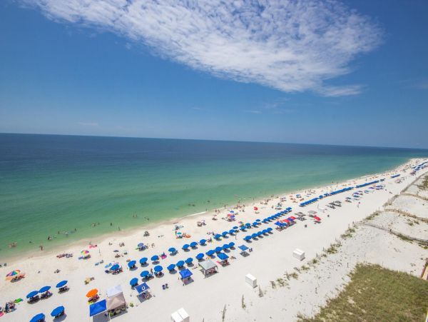 Alabama Beach Areas Condo 992645