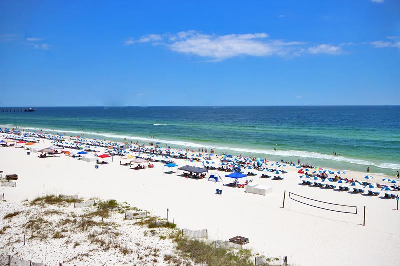 Alabama Beach Areas Condo 992647