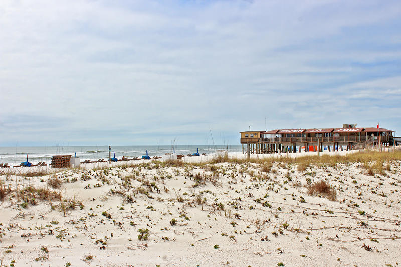Alabama Beach Areas Condo 992647