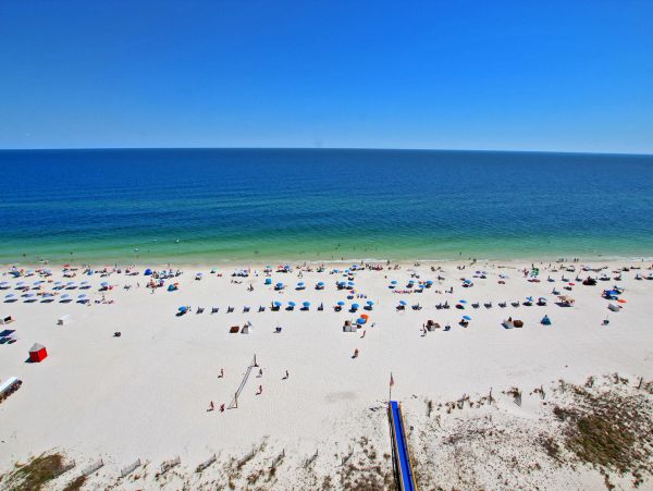 Alabama Beach Areas Condo 992649