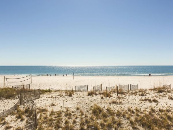 Alabama Beach Areas Condo 992651