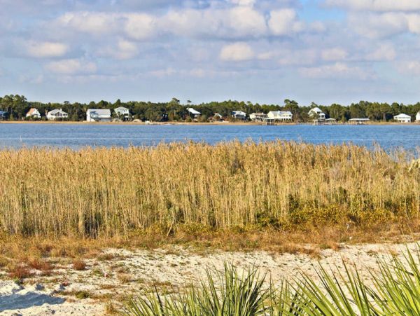 Alabama Beach Areas Home 992654