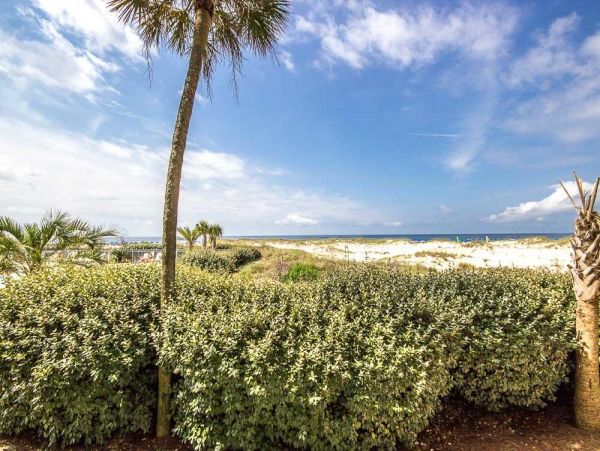 Alabama Beach Areas Condo 992659