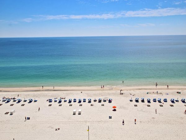Alabama Beach Areas Condo 992661